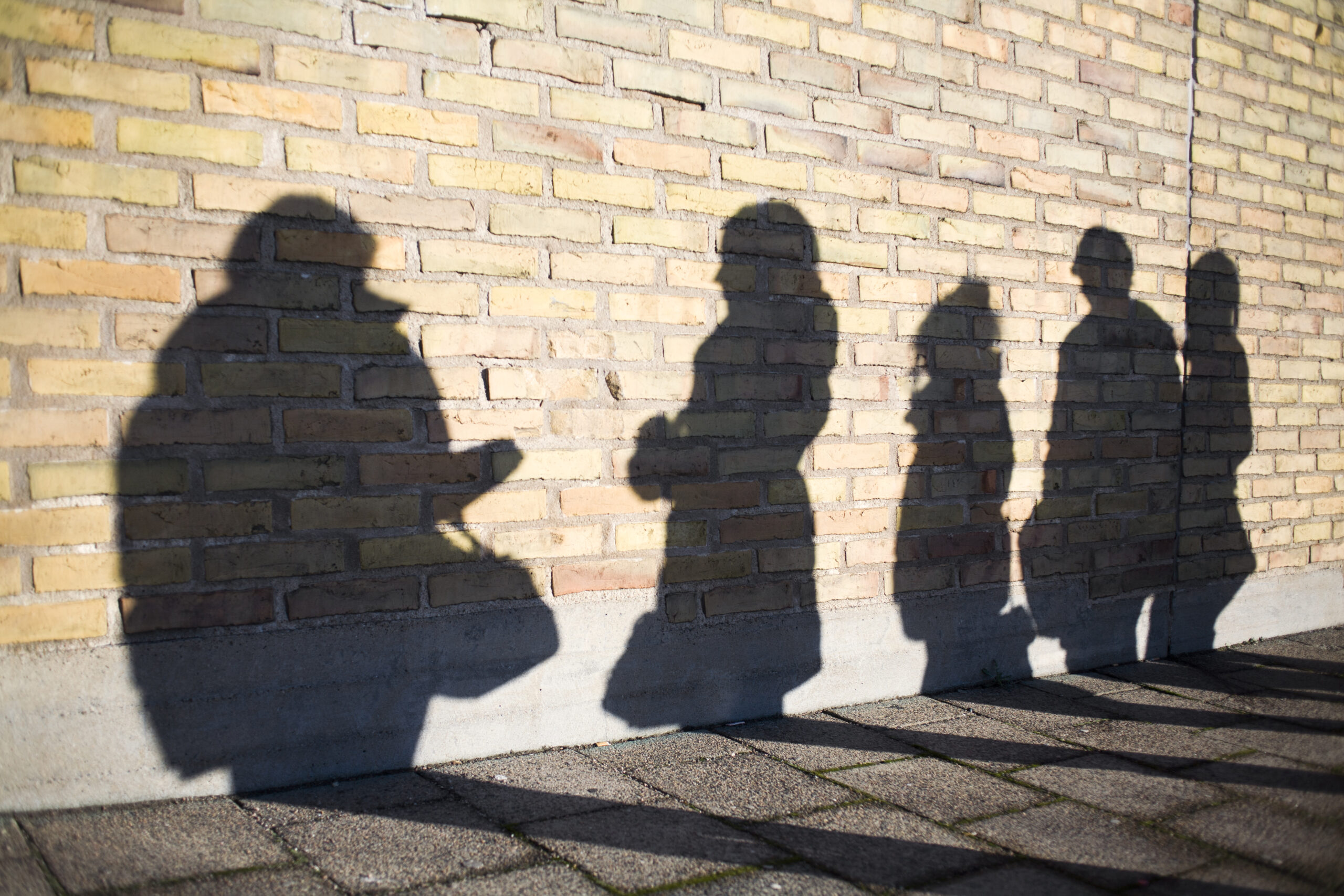 Dapowerkt schaduwbegeleiding